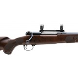 "Winchester 70 Classic Featherweight .270 Win (W11658)" - 4 of 4