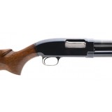 "Winchester 25 12 Gauge (W11480)" - 6 of 6