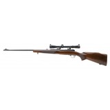 "Winchester 70 Westerner Pre-64 .264 Win Mag (W11508)" - 3 of 4
