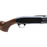 "Browning BPS 12 Gauge (S13818)" - 4 of 4