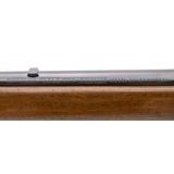 "Winchester 43 .22 Hornet (W11681)" - 5 of 5
