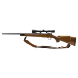 "Sako Forester Deluxe L579 .243 Win (R30779)" - 4 of 5