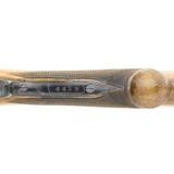 "Zanotti Deluxe Model 625 Side by Side 12 Gauge (S12039)" - 6 of 10