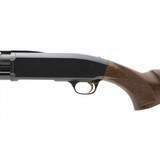 "Browning BPS 12 Gauge (S13836)" - 4 of 4