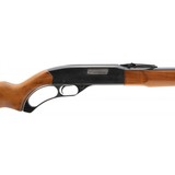 "Winchester 250 .22LR (W11522)" - 6 of 6