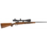 "Winchester 70 Featherweight Short Action .22-250 (W11524)" - 1 of 5