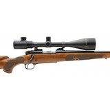 "Winchester 70 Featherweight Short Action .22-250 (W11524)" - 5 of 5