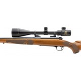 "Winchester 70 Featherweight Short Action .22-250 (W11524)" - 3 of 5
