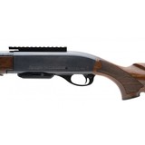 "Remington 750 Woodsmaster .308 Win (R30989)" - 3 of 4