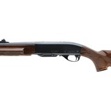 "Remington 7400 .243 Win (R30993)" - 2 of 4