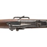 "Springfield 1888 Saddle Ring Trapdoor Carbine (AL6099)" - 7 of 9