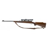 "Winchester 70 Pre-64 .30-06 (W11698)" - 4 of 5