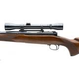 "Winchester 70 Pre-64 .30-06 (W11698)" - 3 of 5