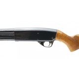 "Springfield 67F 12 Gauge (S13864)" - 2 of 4