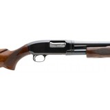 "Winchester 12 Deluxe Pre-64 20 Gauge (W11699)" - 5 of 5
