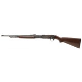 "Remington 14 .25 Rem (R31200)" - 5 of 7
