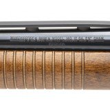 "Winchester Ranger 140 12 Gauge (W11703)" - 5 of 5