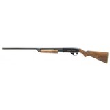 "Golden West 176DL 20 Gauge (S13913)" - 3 of 4