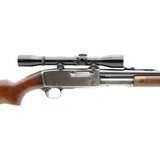 "Remington 141 .35 Rem (R31299)" - 4 of 4