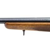 "Winchester 70 Pre-64 .30-06 (W11538)" - 5 of 5