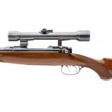 "Superb Steyr 6.5X54mm Mannlicher Hunting Carbine (R31363)" - 8 of 11