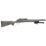 "Remington 700 AAC SPS Tactical .223 Rem (R31242)" - 1 of 4