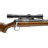 "Remington 722 .257 Roberts (R31328)" - 4 of 4
