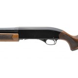 "Winchester 1200 12 Gauge (W11837)" - 3 of 5