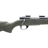 "Weatherby Vanguard .243 Win (R31341)" - 4 of 4