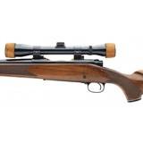 "Winchester 70 .270 Win (W11838)" - 5 of 5