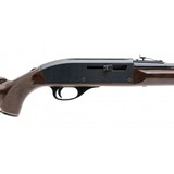 "Remington Nylon 66 .22LR (R31345)" - 4 of 4