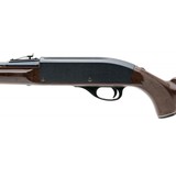 "Remington Nylon 66 .22LR (R31345)" - 2 of 4