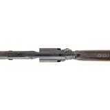 "Colt 1855 Revolving Rifle (AC291)" - 10 of 11