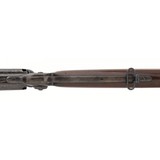 "Colt 1855 Revolving Rifle (AC291)" - 4 of 11