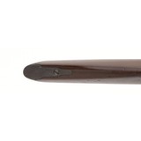 "Colt 1855 Revolving Rifle (AC291)" - 8 of 11
