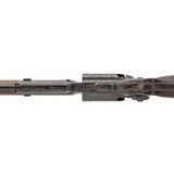 "Colt 1855 Revolving Rifle (AC291)" - 5 of 11