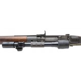 "U.S. Springfield M1D Sniper Rifle (R31034)" - 8 of 13