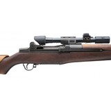 "U.S. Springfield M1D Sniper Rifle (R31034)" - 13 of 13