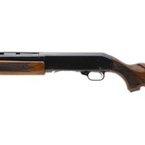 "Ted Williams 200 20 Gauge (S13991)" - 4 of 4
