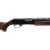 "Ted Williams 200 20 Gauge (S13991)" - 2 of 4