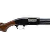 "Remington 31 20 Gauge (S13987)" - 4 of 4