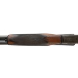 "Continental Centaure 12 Gauge (S13996)" - 2 of 5