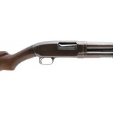 "Winchester 1912 12 Gauge (W11737)" - 5 of 5