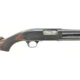 "Remington 31 20 Gauge (S11509)" - 1 of 4