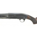 "Remington 31 20 Gauge (S11509)" - 4 of 4