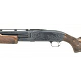 "Winchester 12 Deluxe Pigeon 20 Gauge (W10187)" - 7 of 11