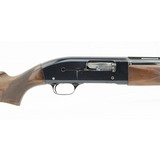 "Winchester 50 12 Gauge (W10500)" - 5 of 5