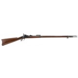 "U.S. Springfield Model 1884 trapdoor rifle .45-70 (AL7313)" - 1 of 7