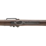 "U.S. Springfield model 1873 trapdoor carbine (AL6104)" - 2 of 9