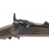 "U.S. Springfield model 1873 trapdoor carbine (AL6104)" - 8 of 9